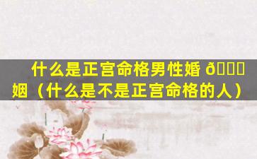 什么是正宫命格男性婚 💐 姻（什么是不是正宫命格的人）